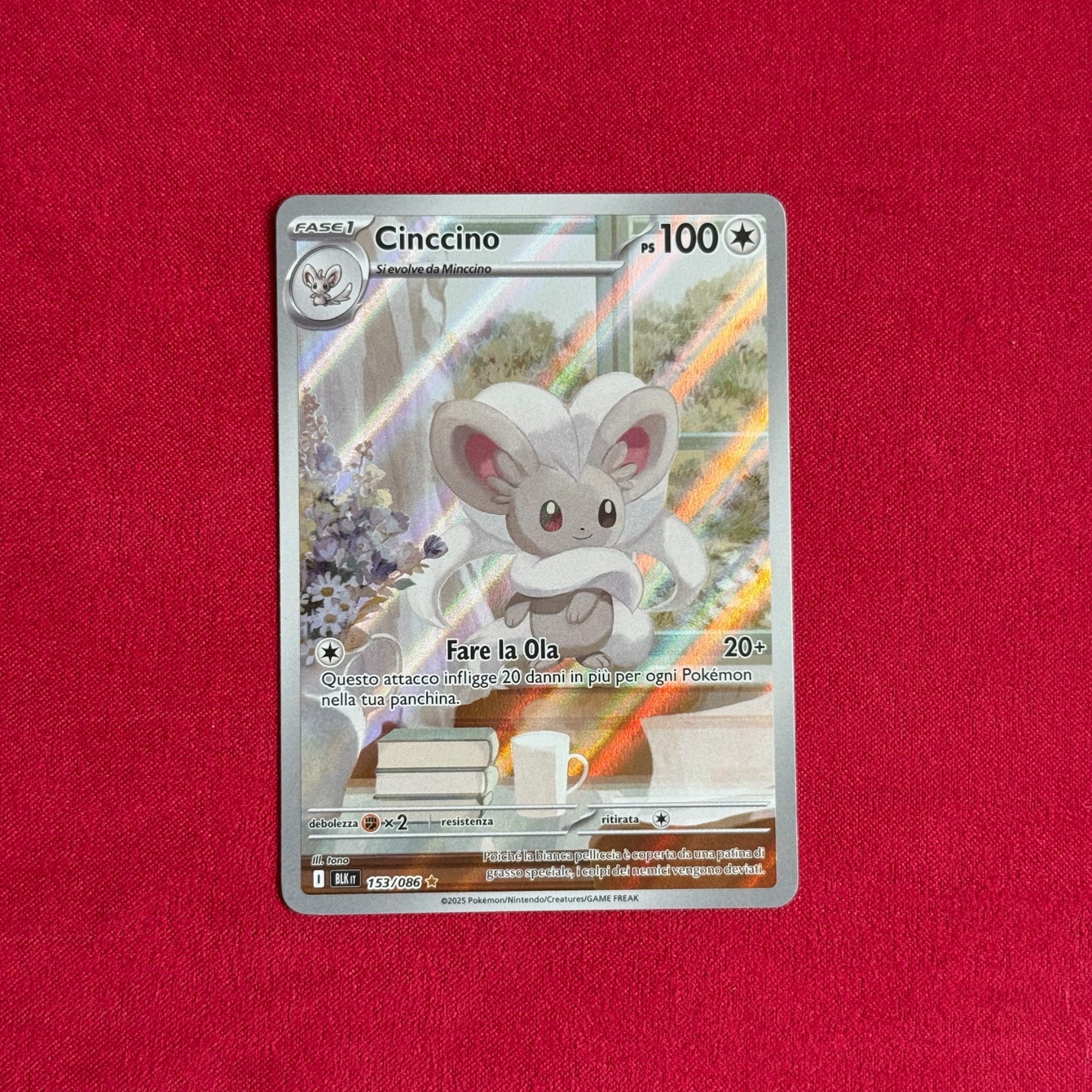 Cinccino 153/086 (Luce Nera)